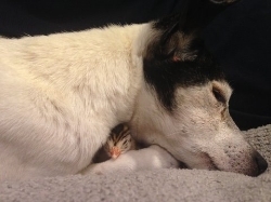 Josie with with her feathered friend, Friday, on the day he hatched