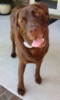 Hooch Smith 3/24/09-7/5/16