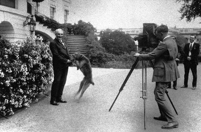 President Harding and his Happy Airedale "Laddie Boy"