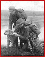 airedale-messenger-war-1339441365.jpg