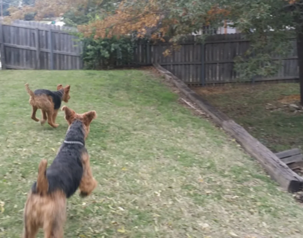 20141114_091310.jpg