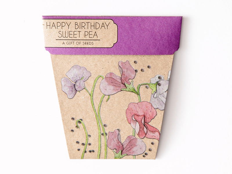 sweet pea.jpg