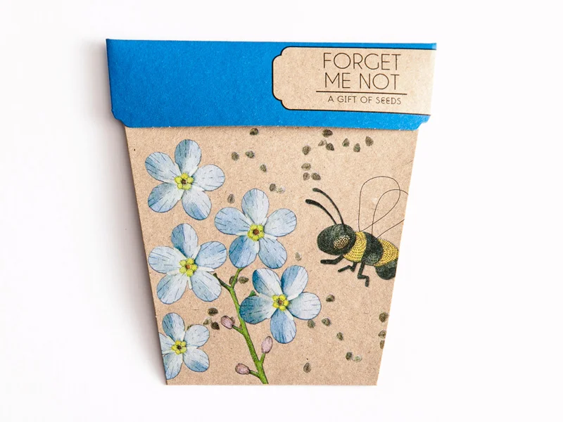 forget me not.jpg