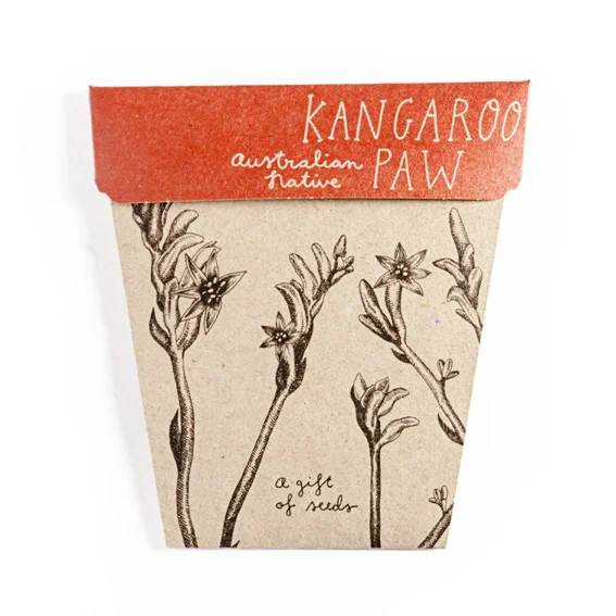 kangaroo paw.jpg