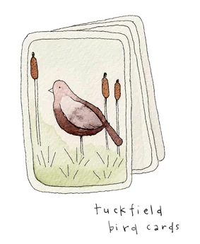 bird cards copy.jpg
