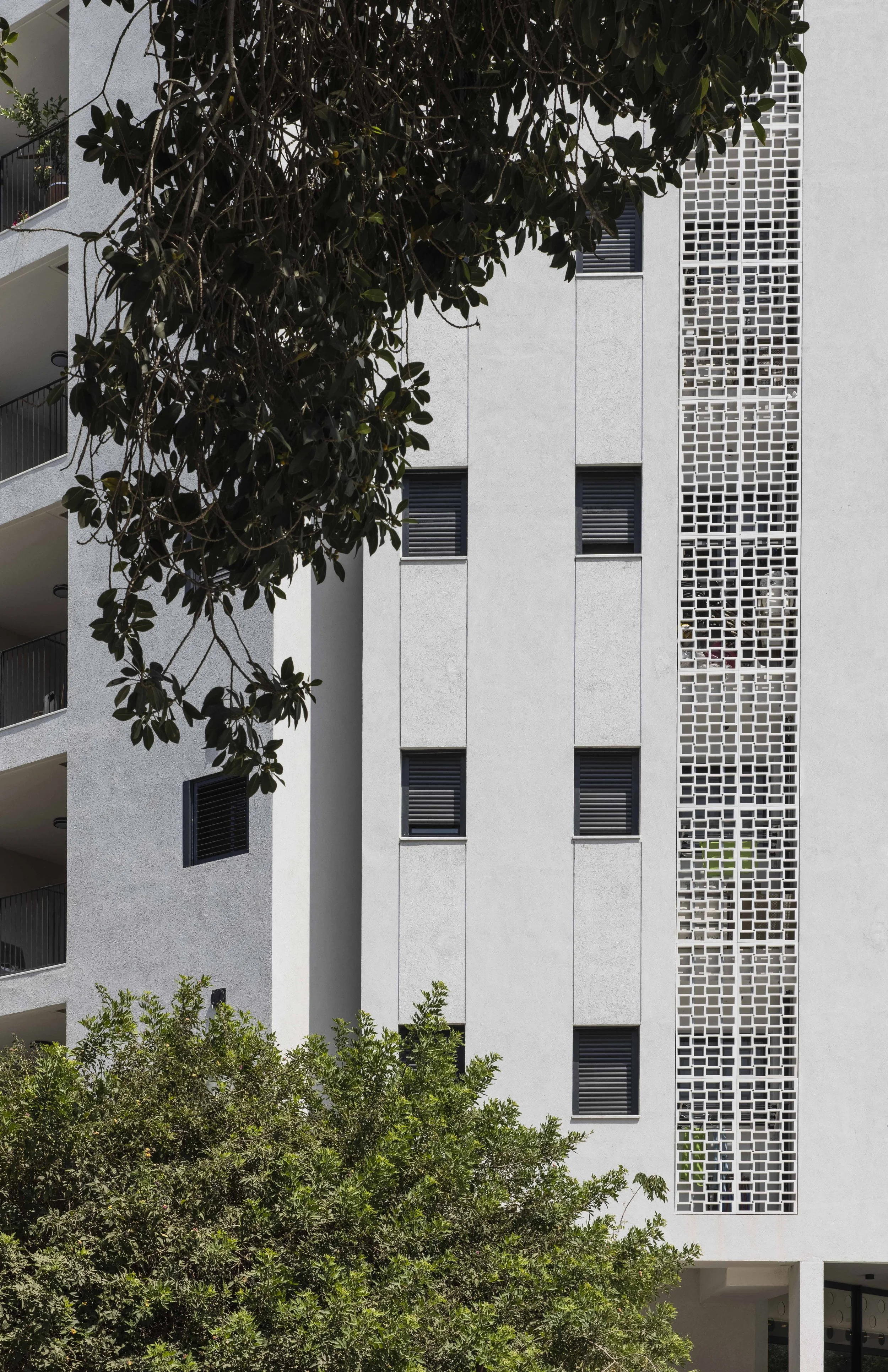 haheder 1 - small-15.jpg