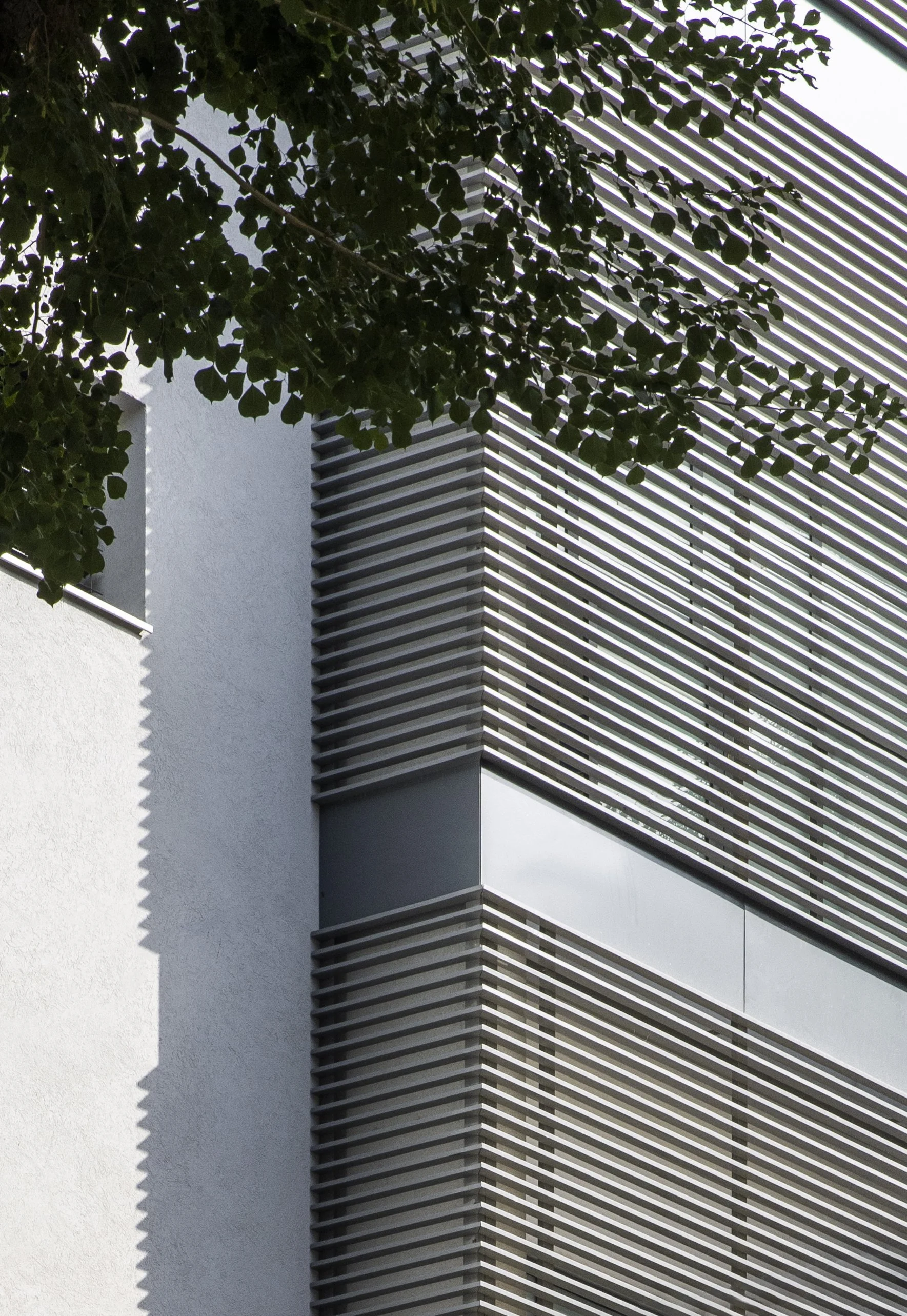 TheHeder Architecture - large-4.jpg