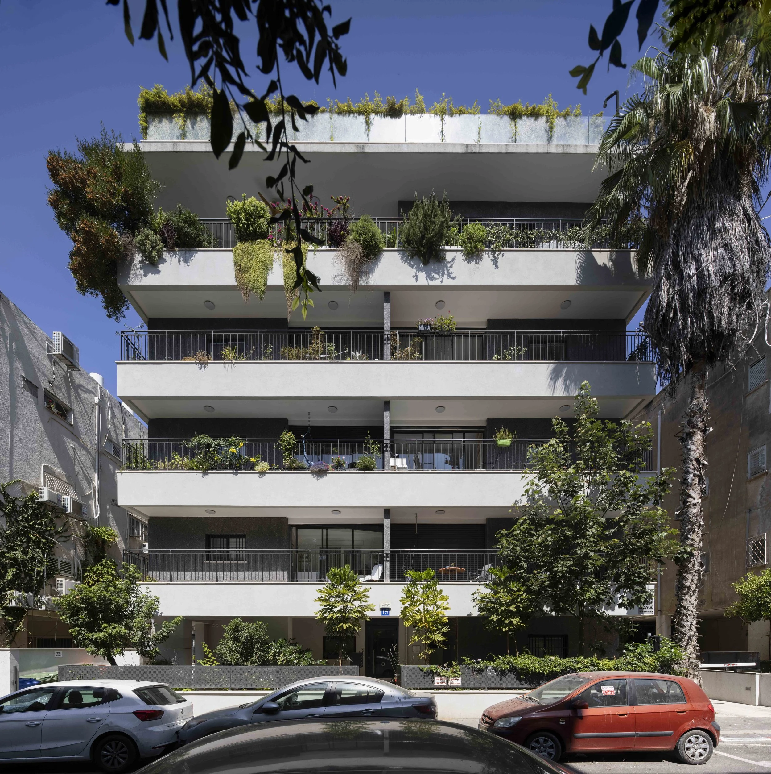 haheder 2 - small-63.jpg