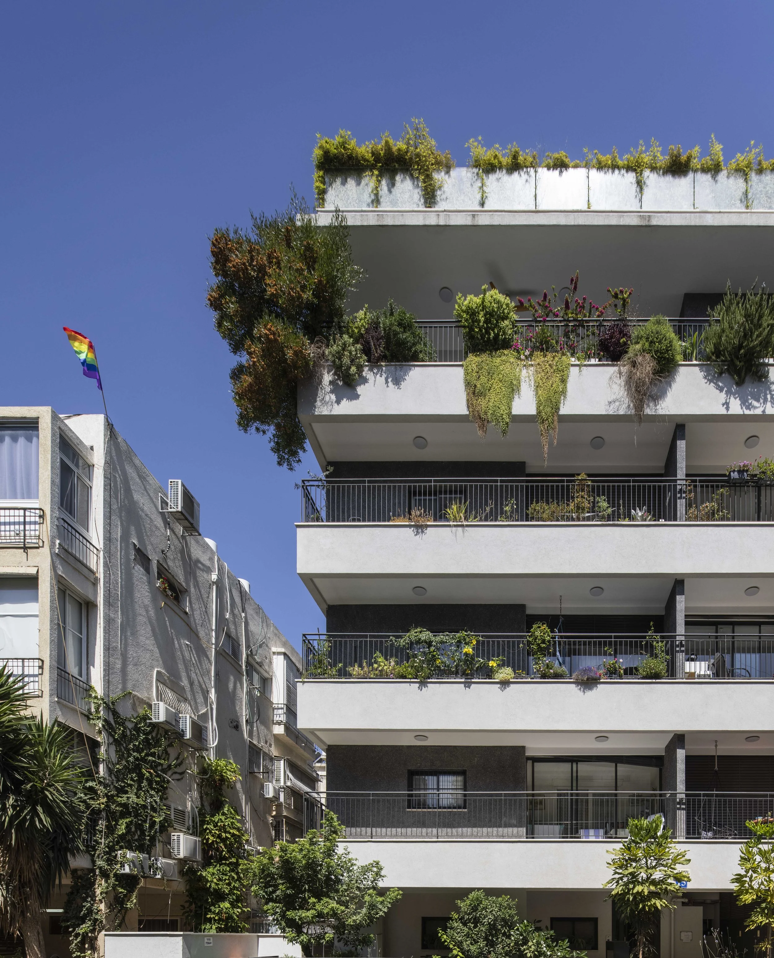 haheder 2 - small-65.jpg