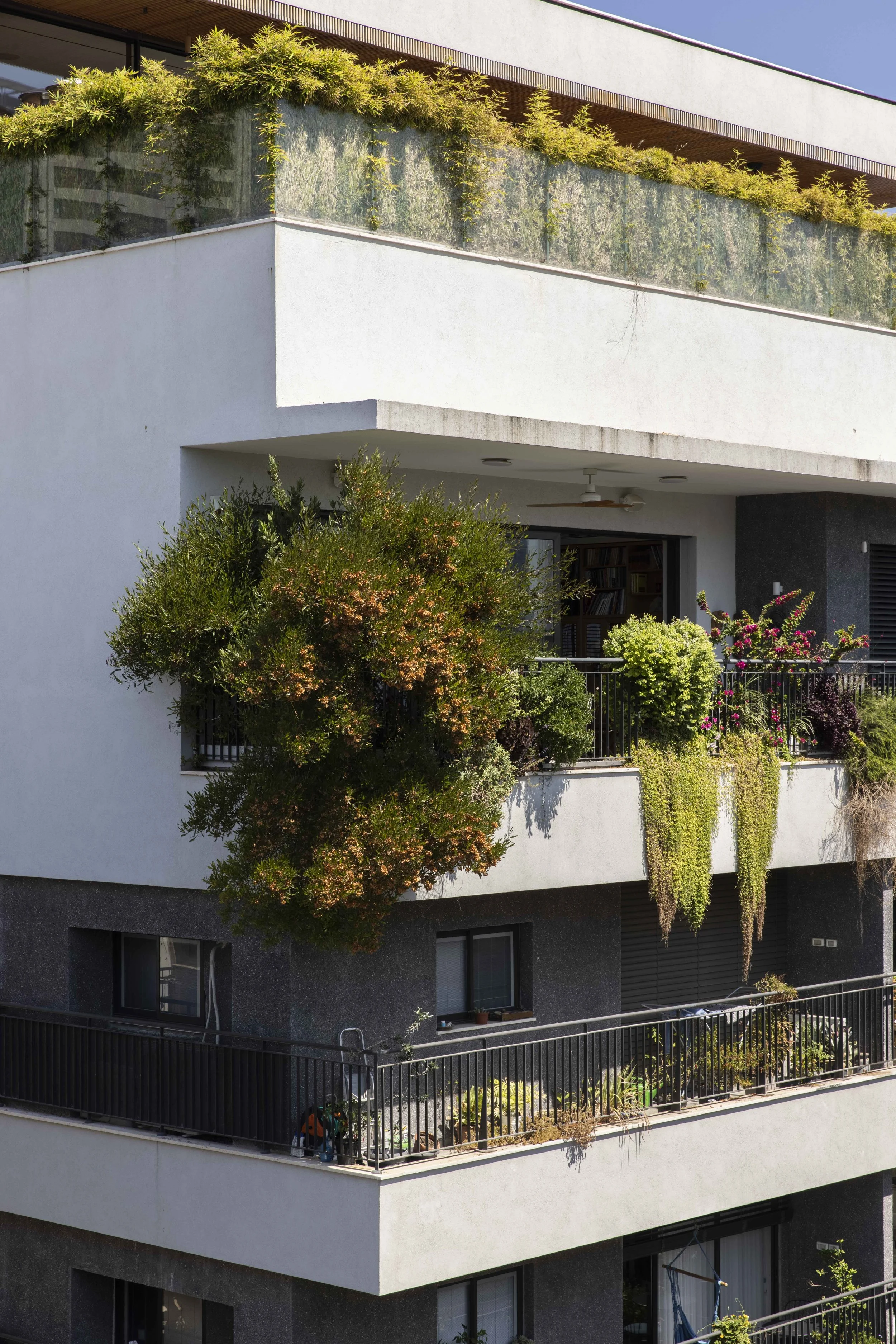 haheder 2 - small-68.jpg