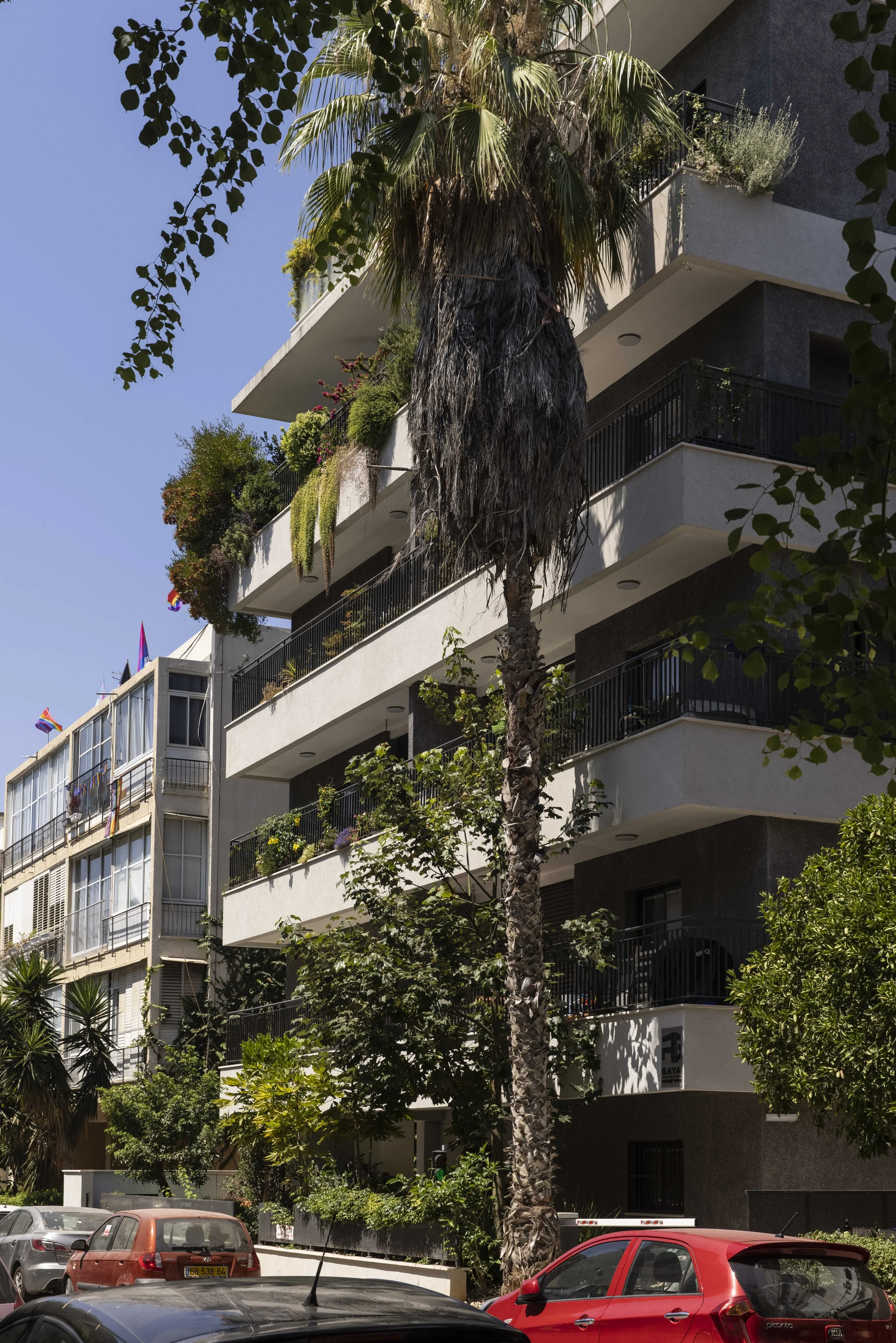 haheder 2 - small-77.jpg