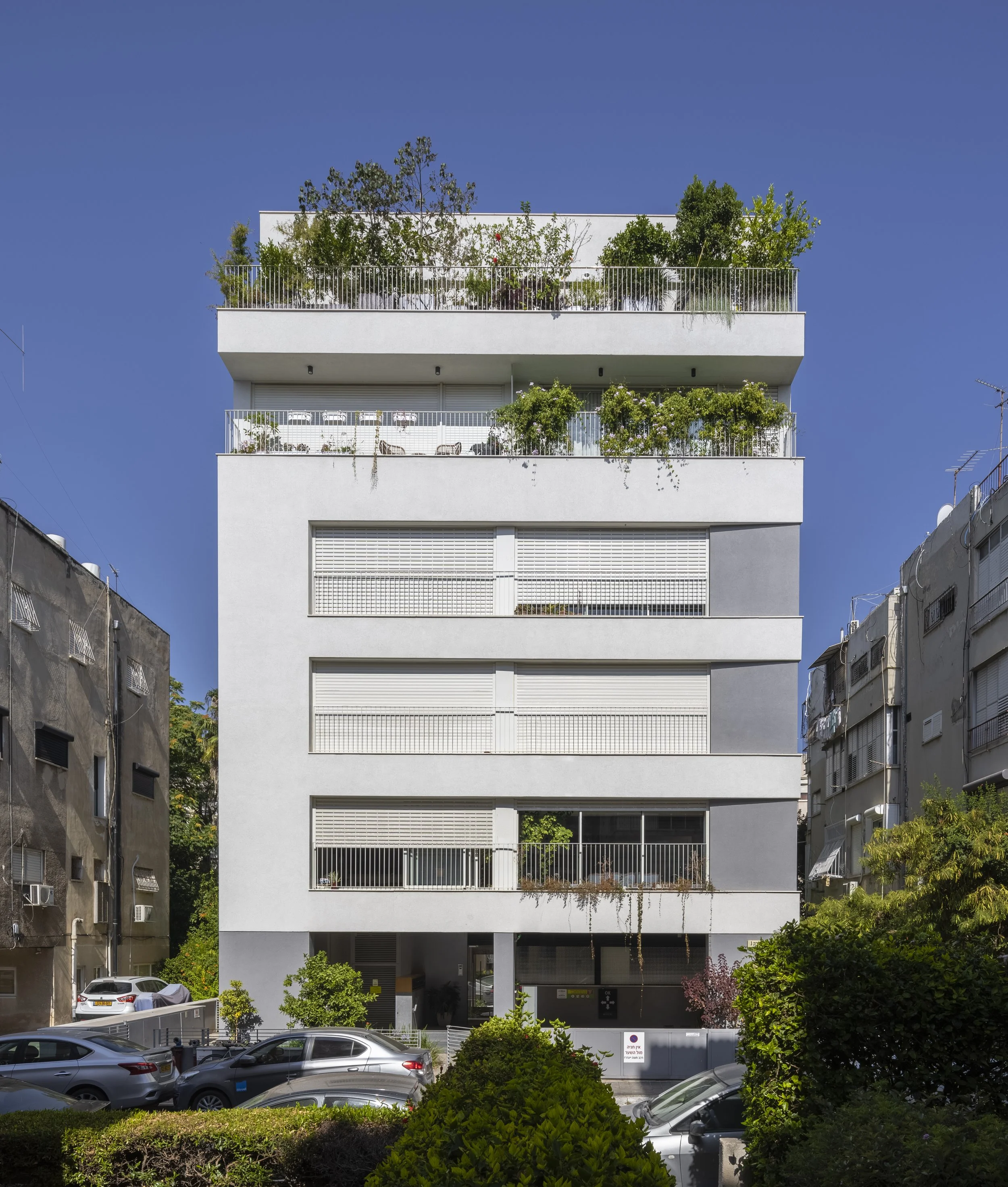 haheder 2 - large-38.jpg