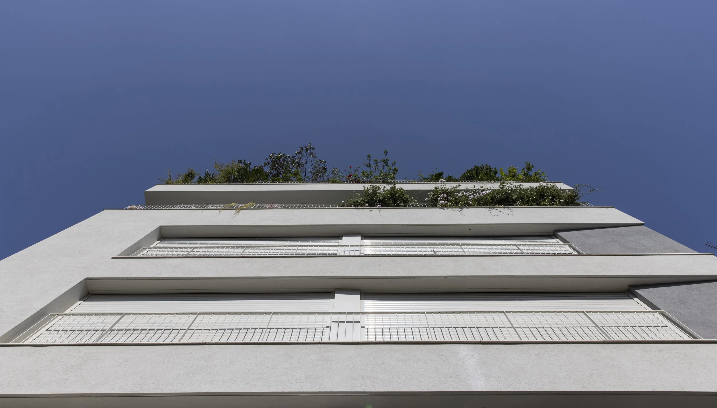 haheder 2 - large-44.jpg