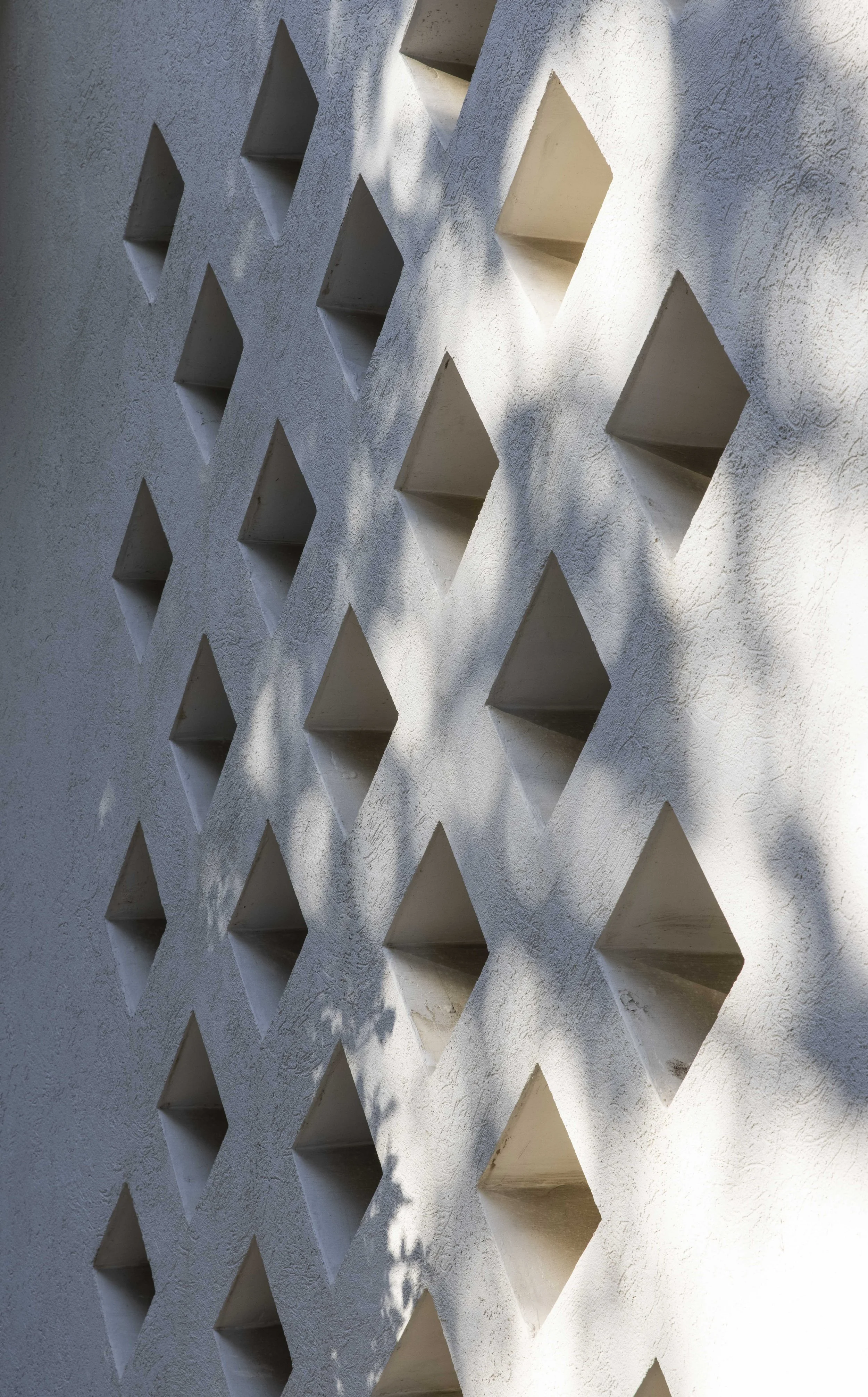 haheder 2 - small-90.jpg