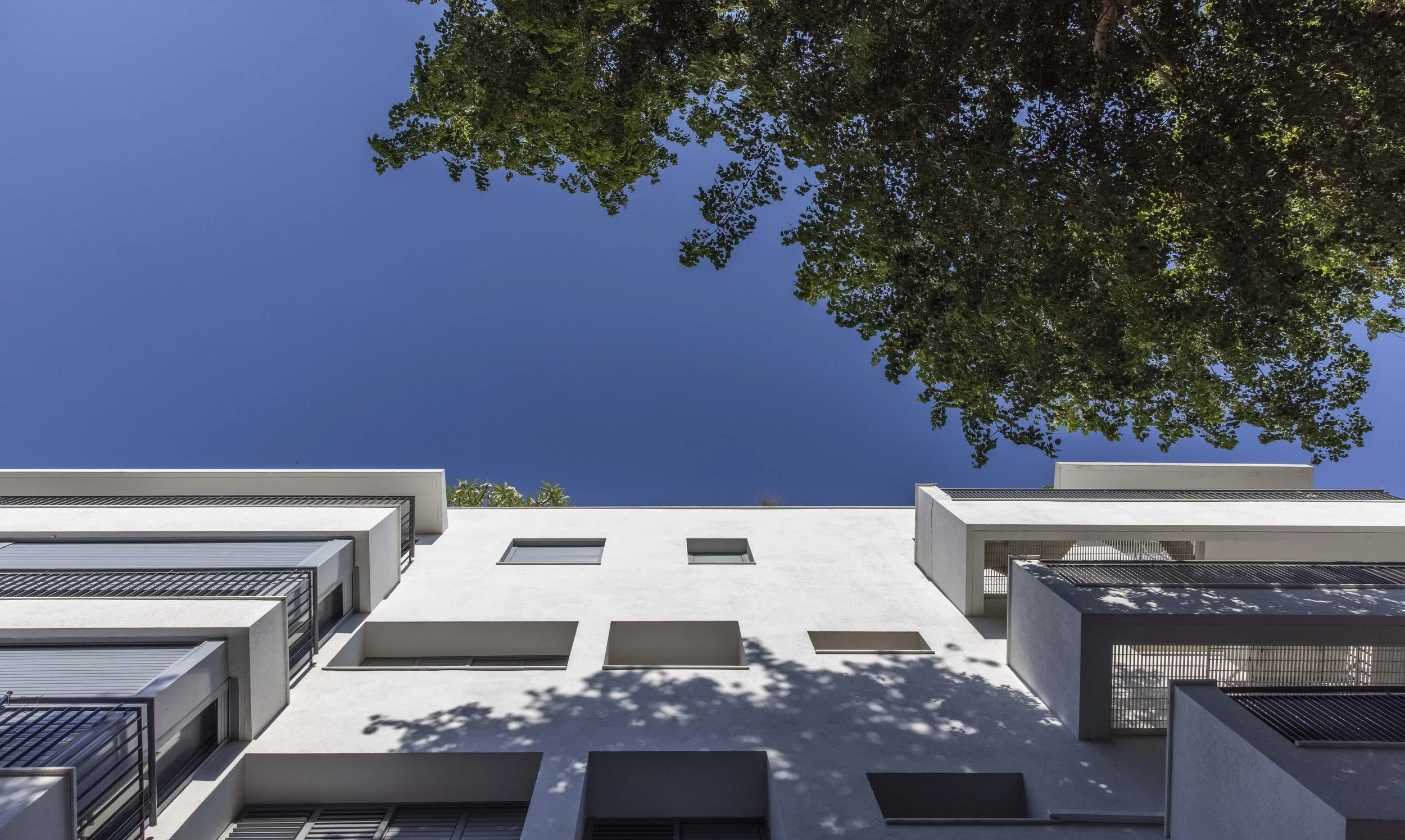 haheder 2 - small-89.jpg