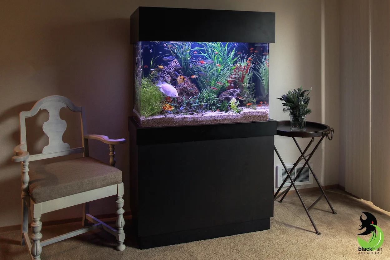 Blackfish2..jpg
