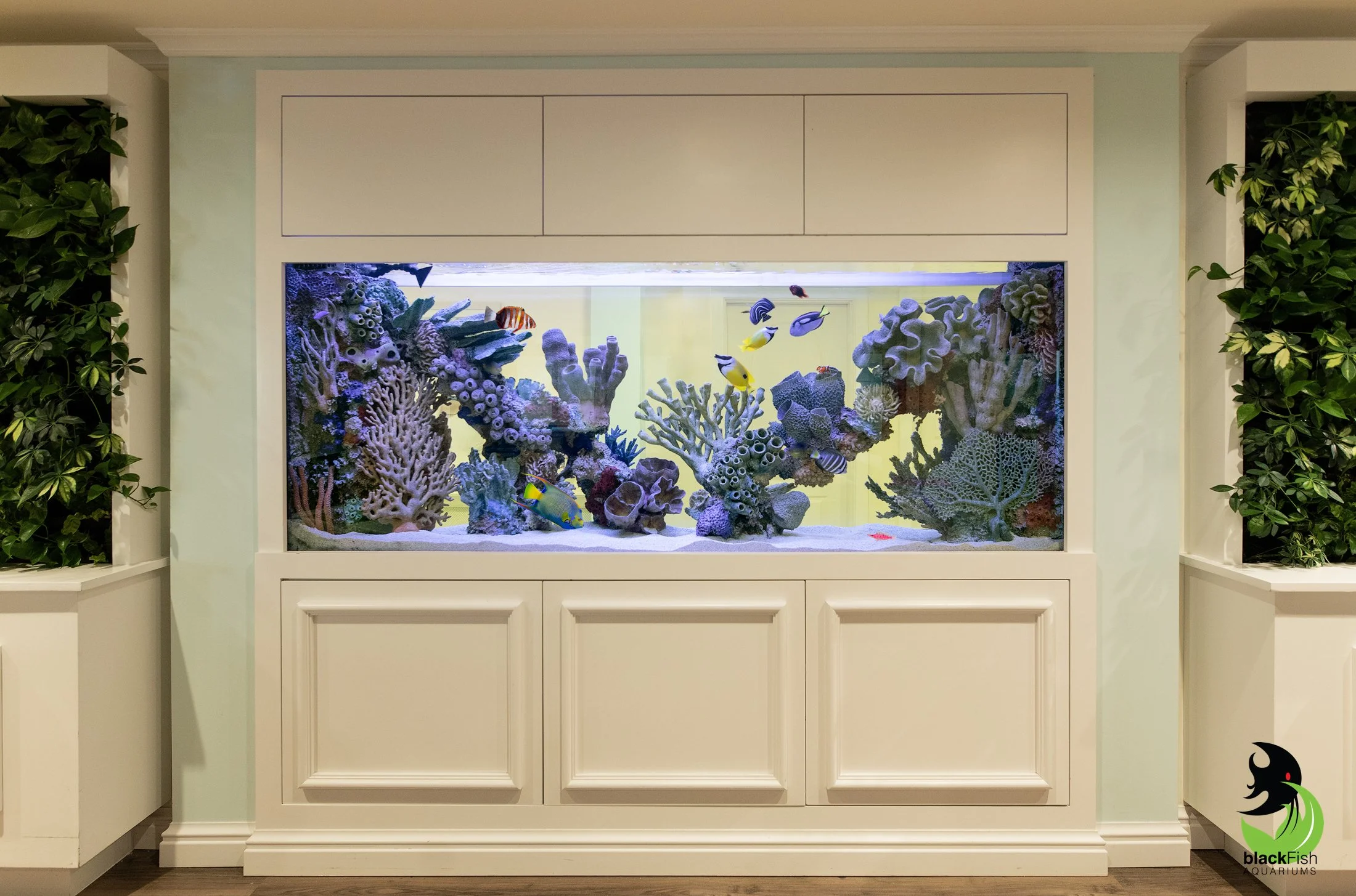 A Saltwater reef done by BlackFish Aquariums. 