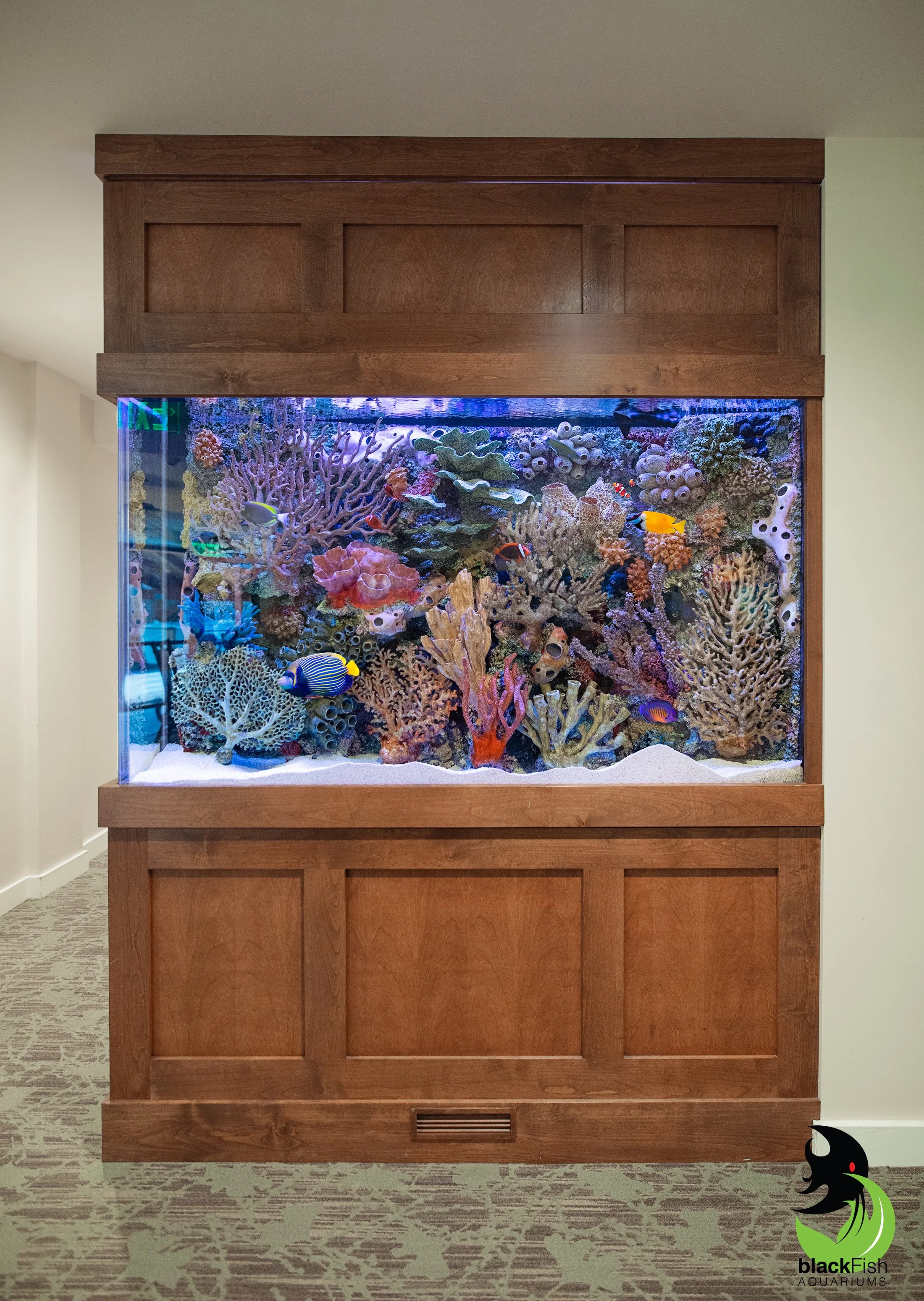 BlackFish Aquariums Saltwater reef 