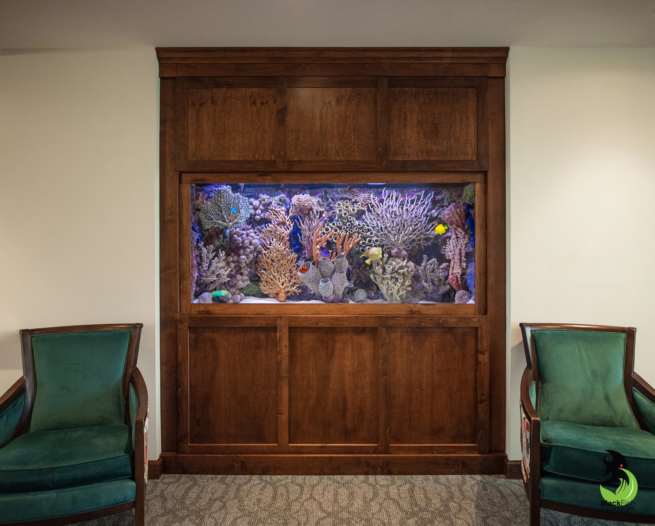 BlackFish Aquariums Saltwater reef 3
