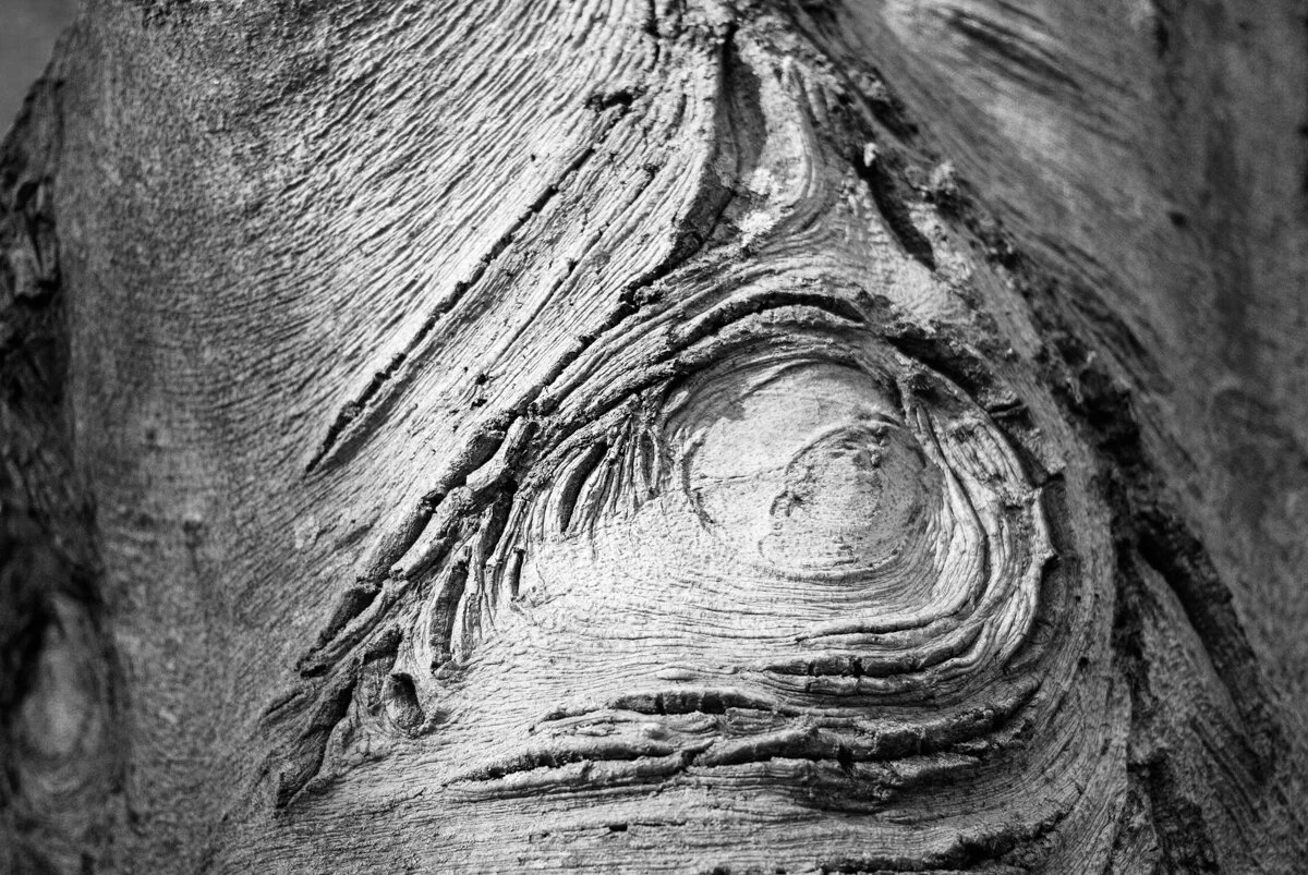 30 Days in Spring (11 of 17).jpg