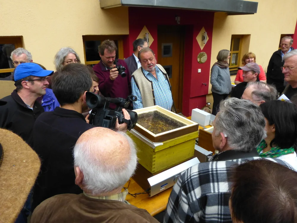 Bienensauna-Behandlung+in+Oberbergkirchen.jpg