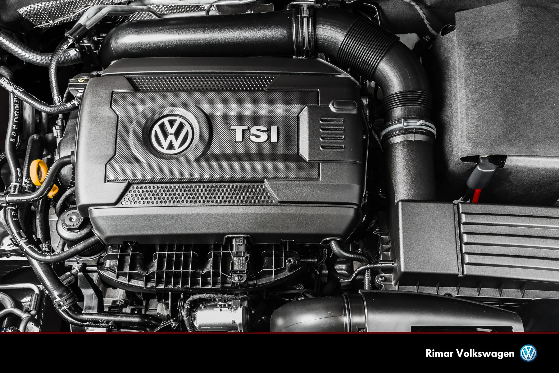 vw final.jpg