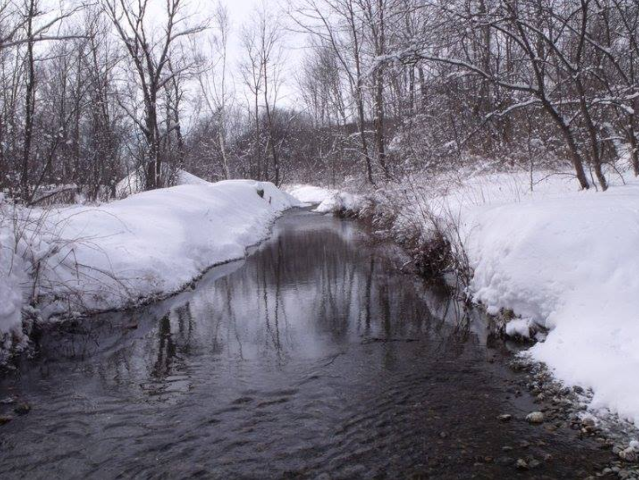 Photo Gallery — Privacy Campground