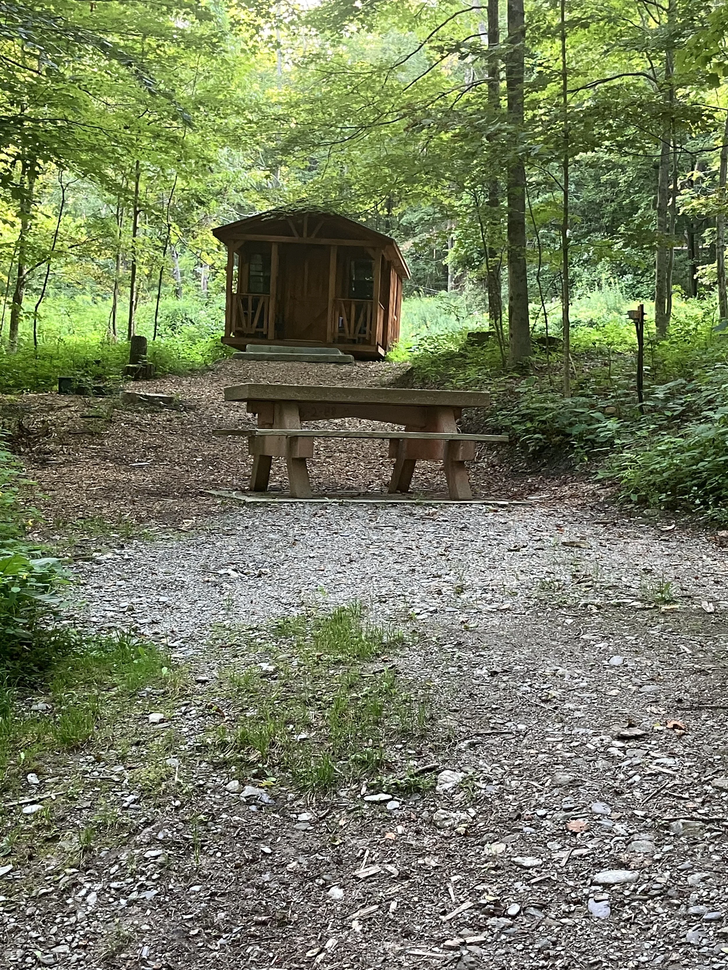 Cabin #9
