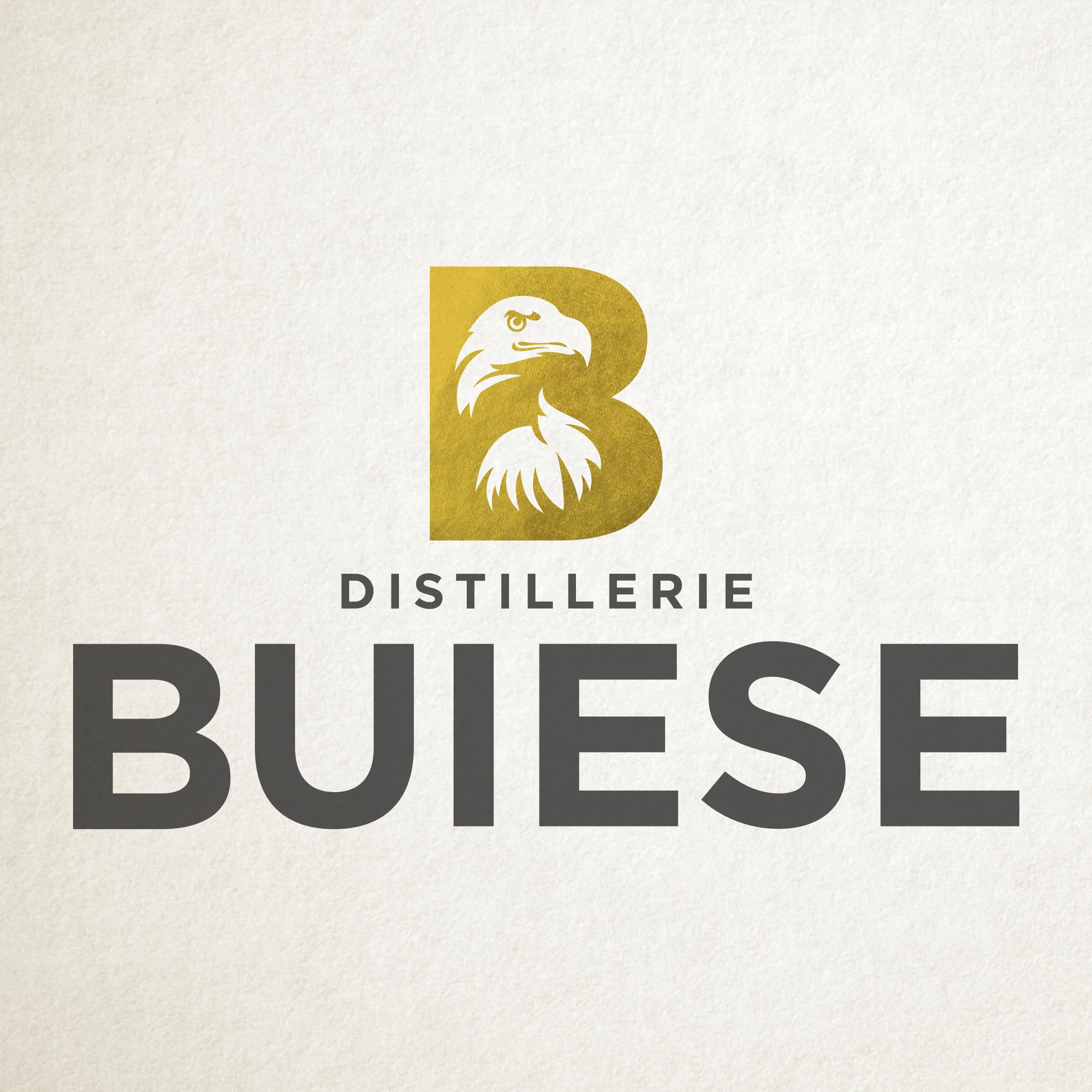 Strong, elegant typography compliments the symbol. 