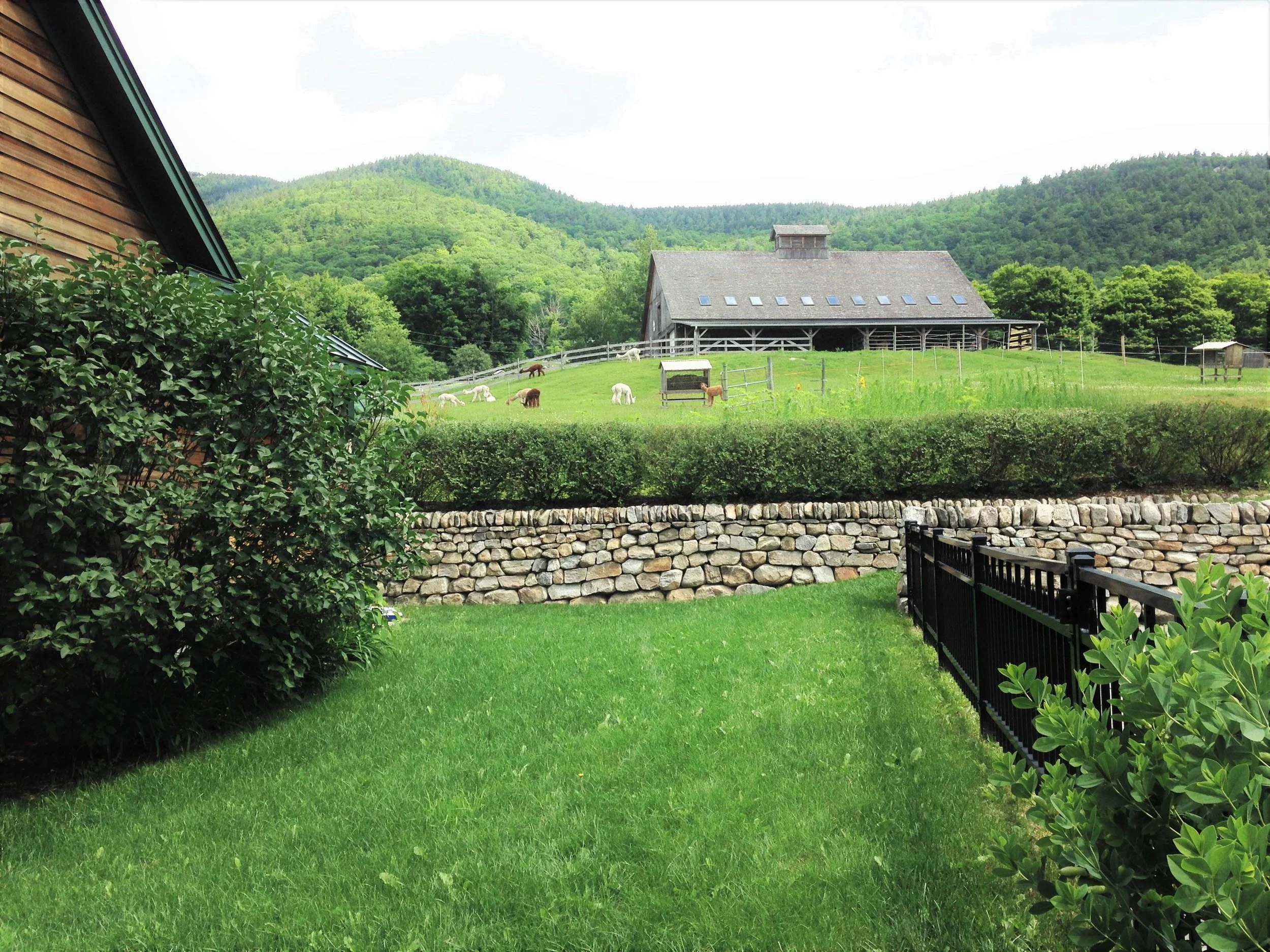 2015_early summer 001.jpg