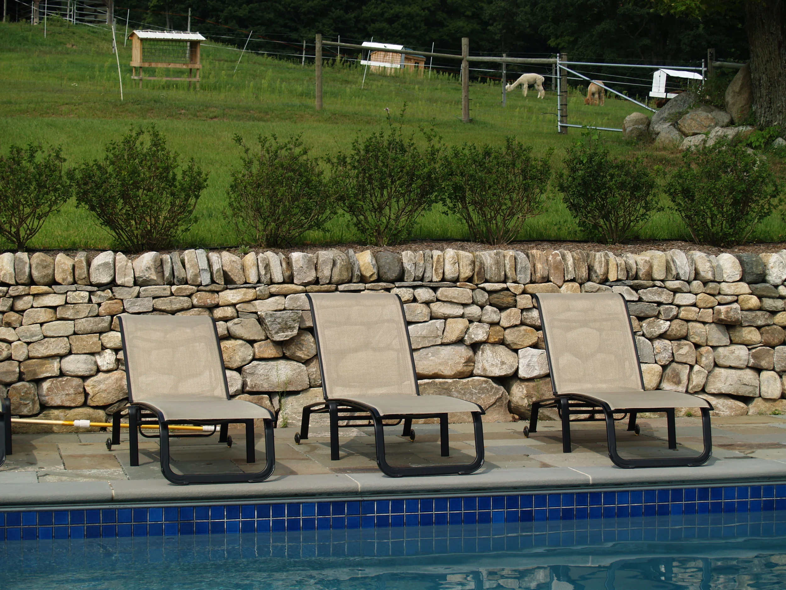 summer 2010 029.jpg