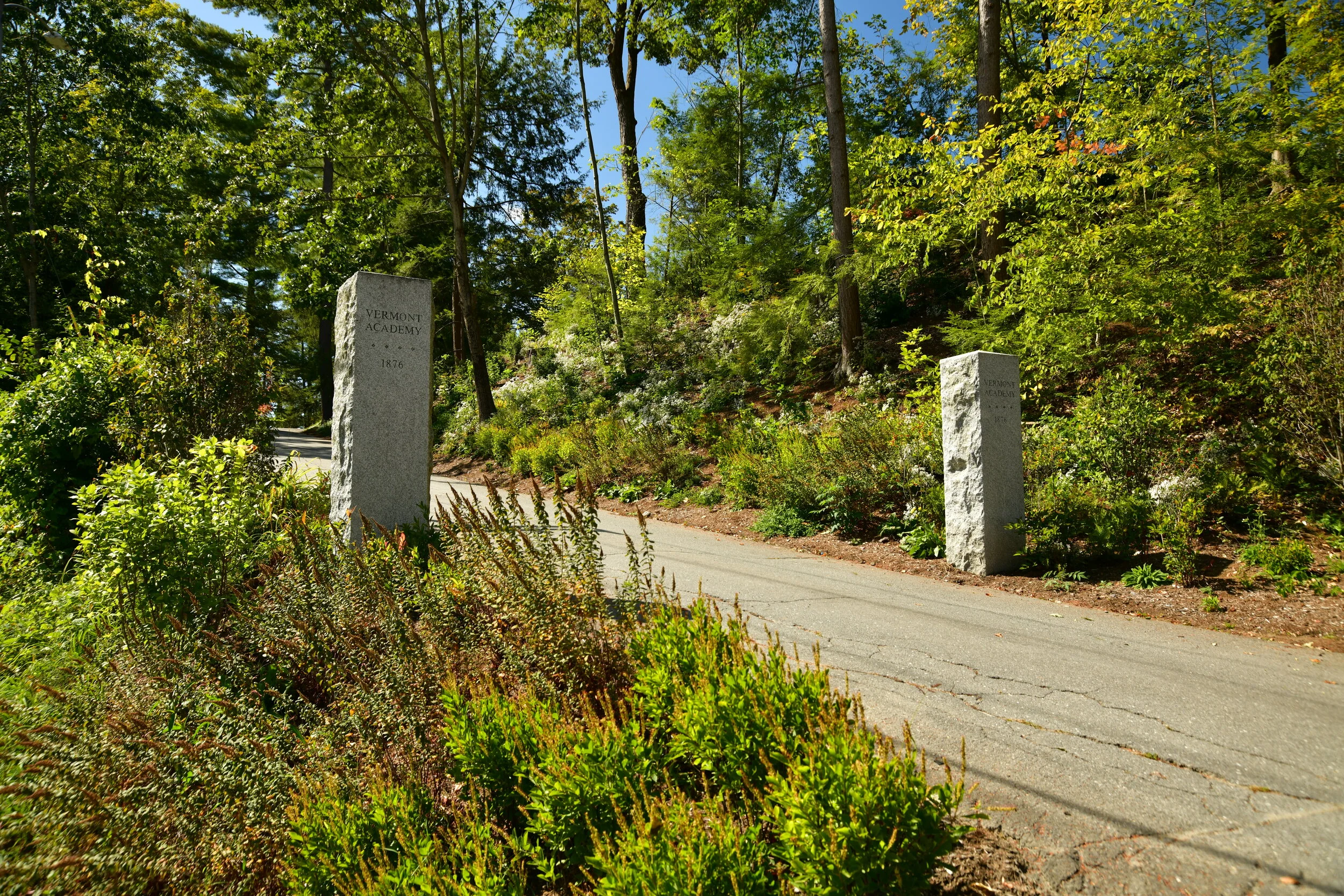DSC_1445.JPG