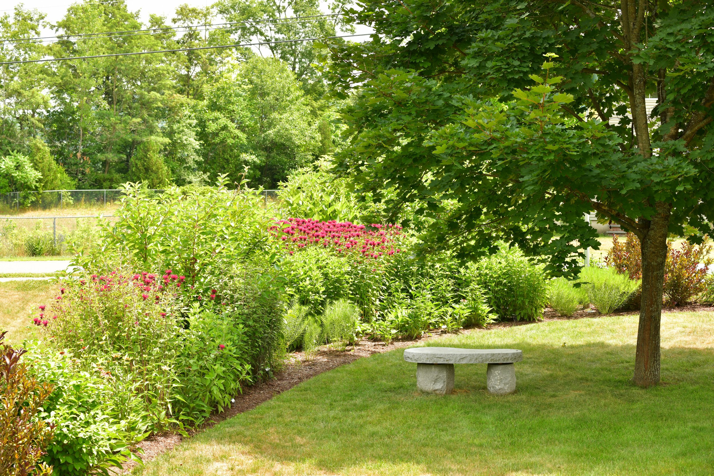 DSC_3827.JPG