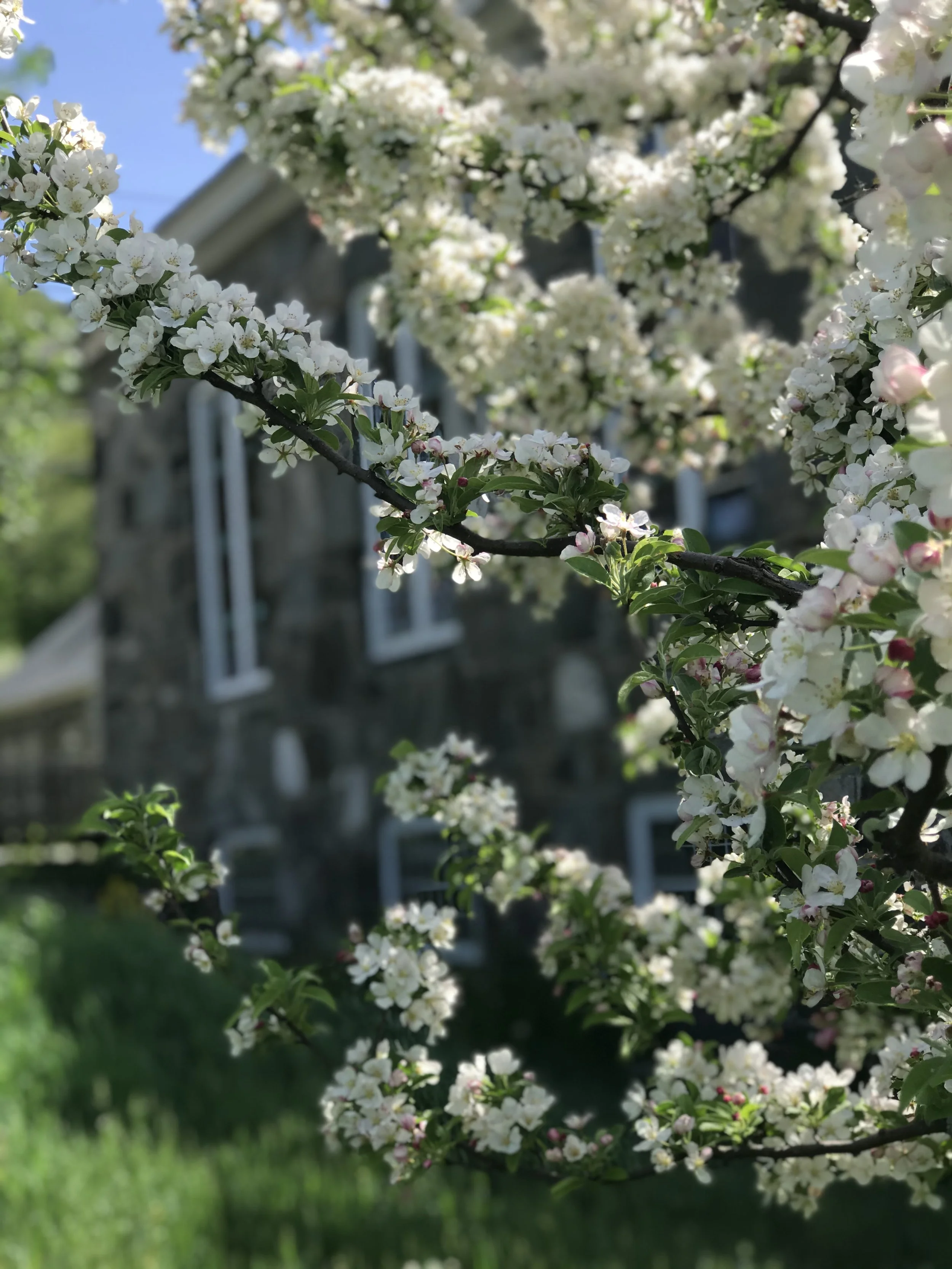 IMG_1158.JPEG