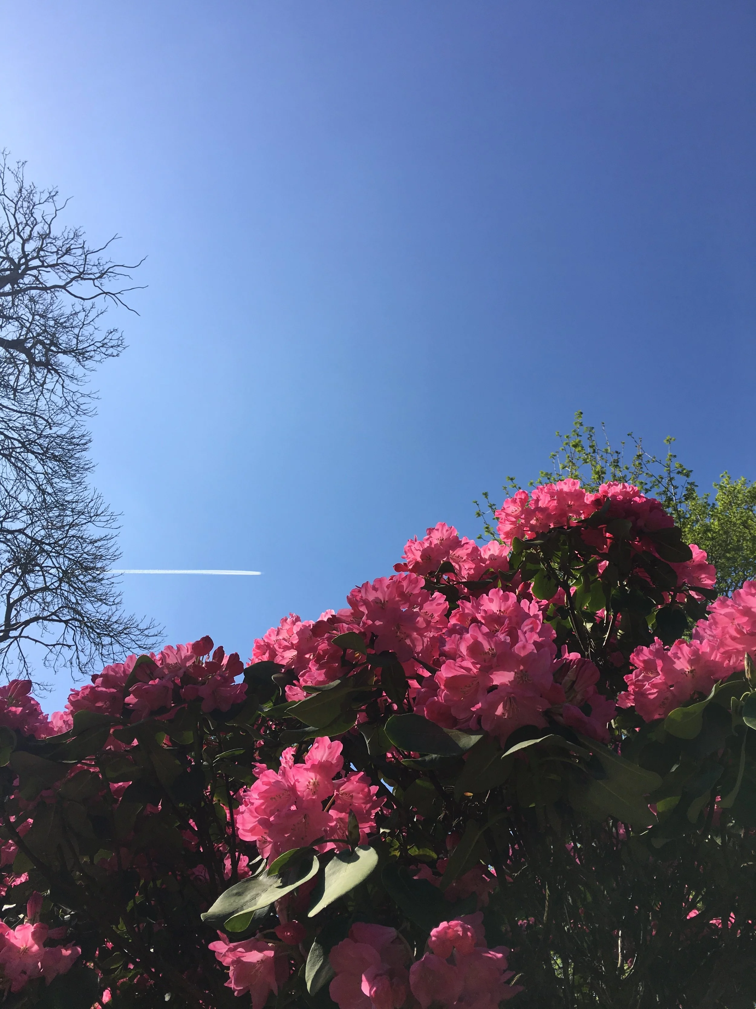 april, untangled | 2018