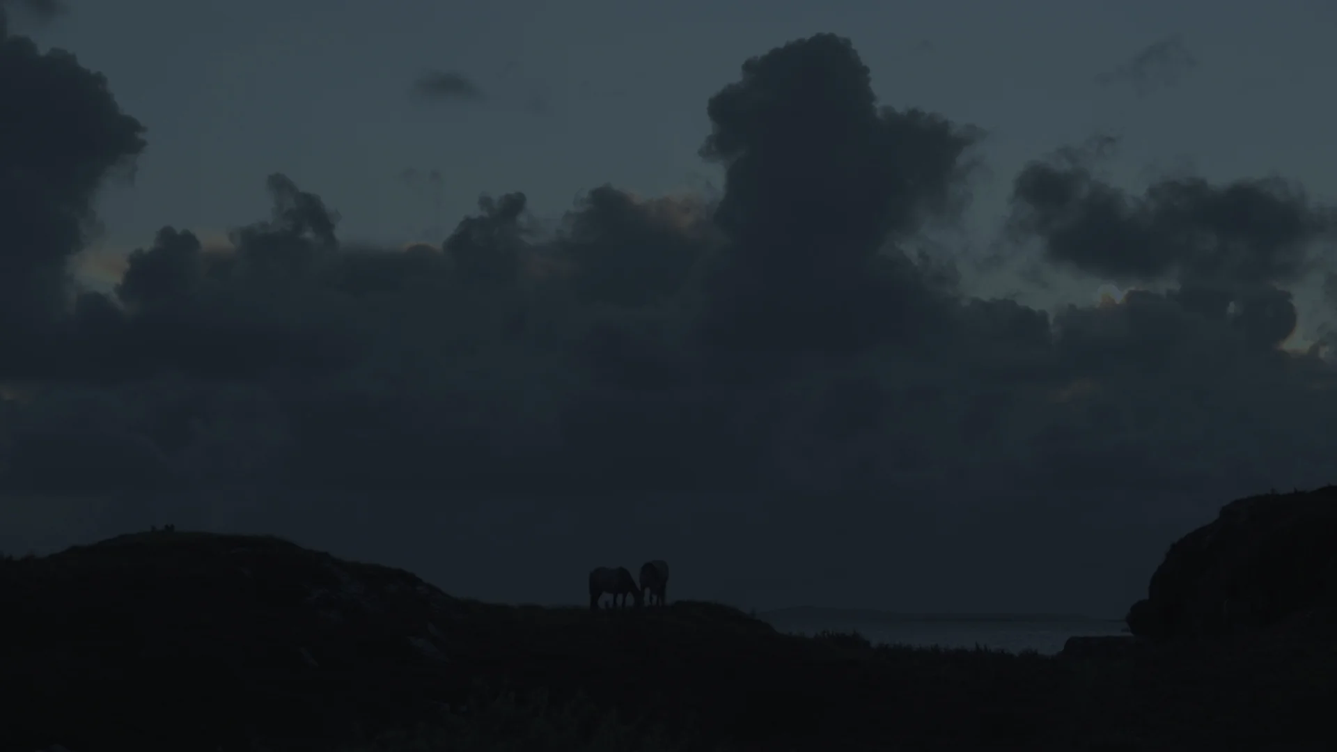 263165823.mov_1.jpg