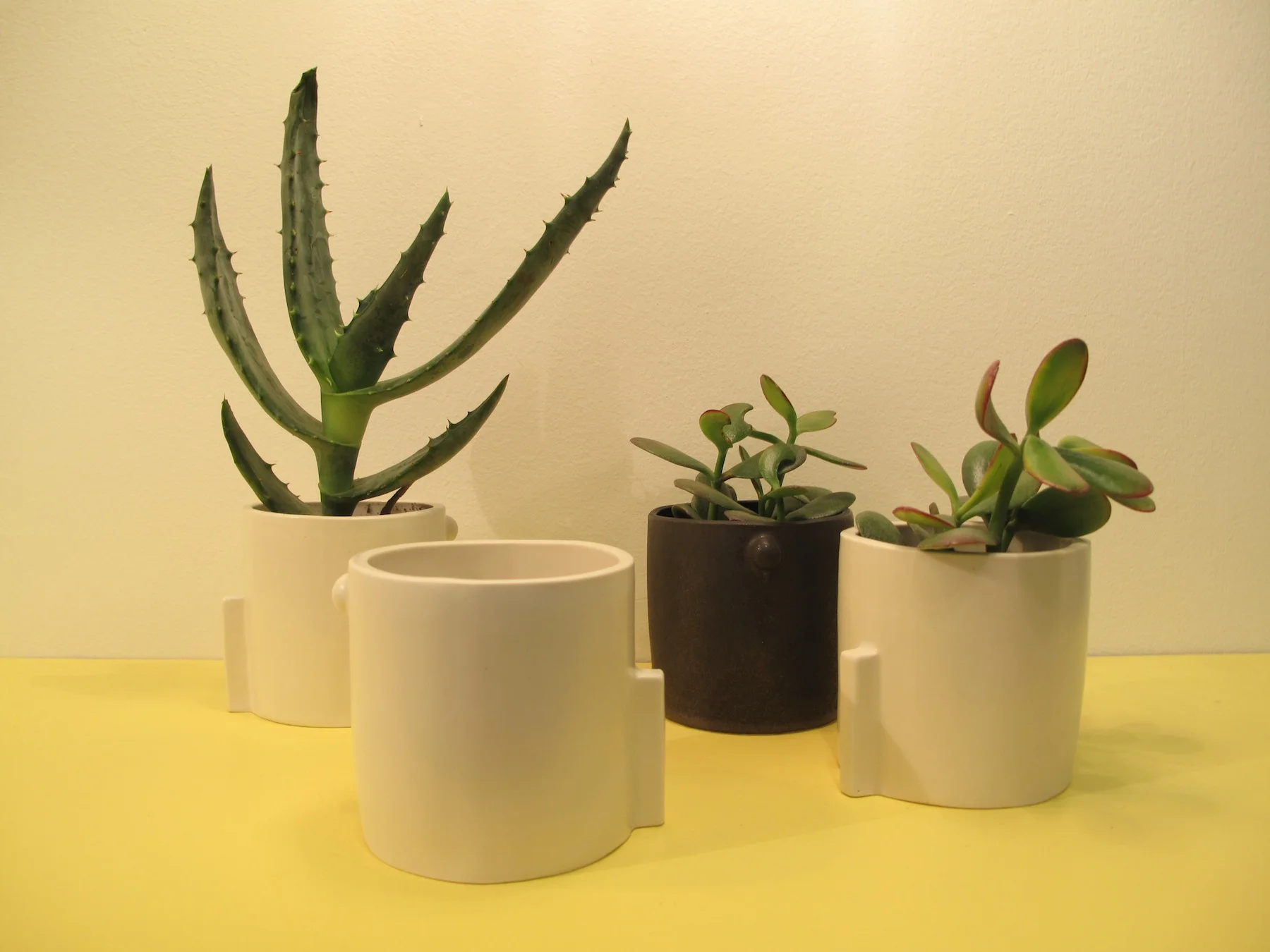 Cylinder    3.5 x 3.5 x 3.5