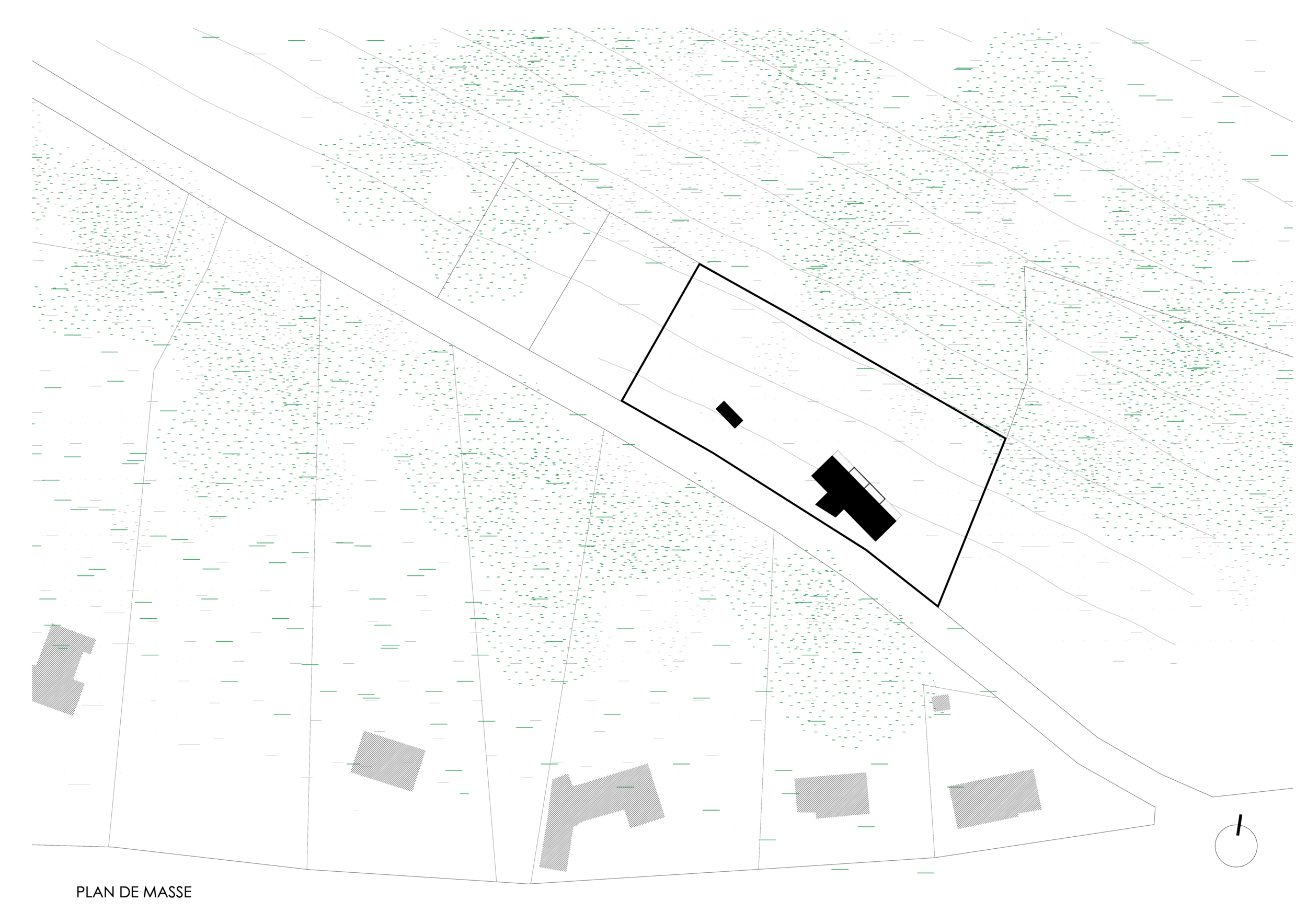 01DV-PLAN MASSE.png