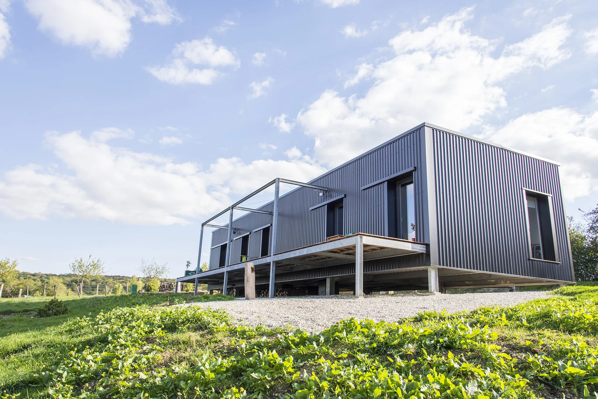 DV © Jelena Stajic-08 OUT.jpg