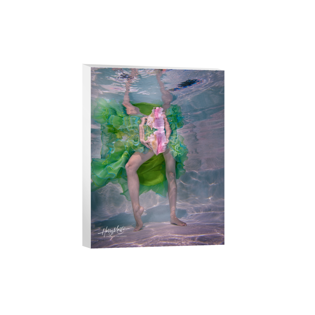 canvas_rectangle3_4_0_553_3266_4354_0_false_ffffff_0_0.png