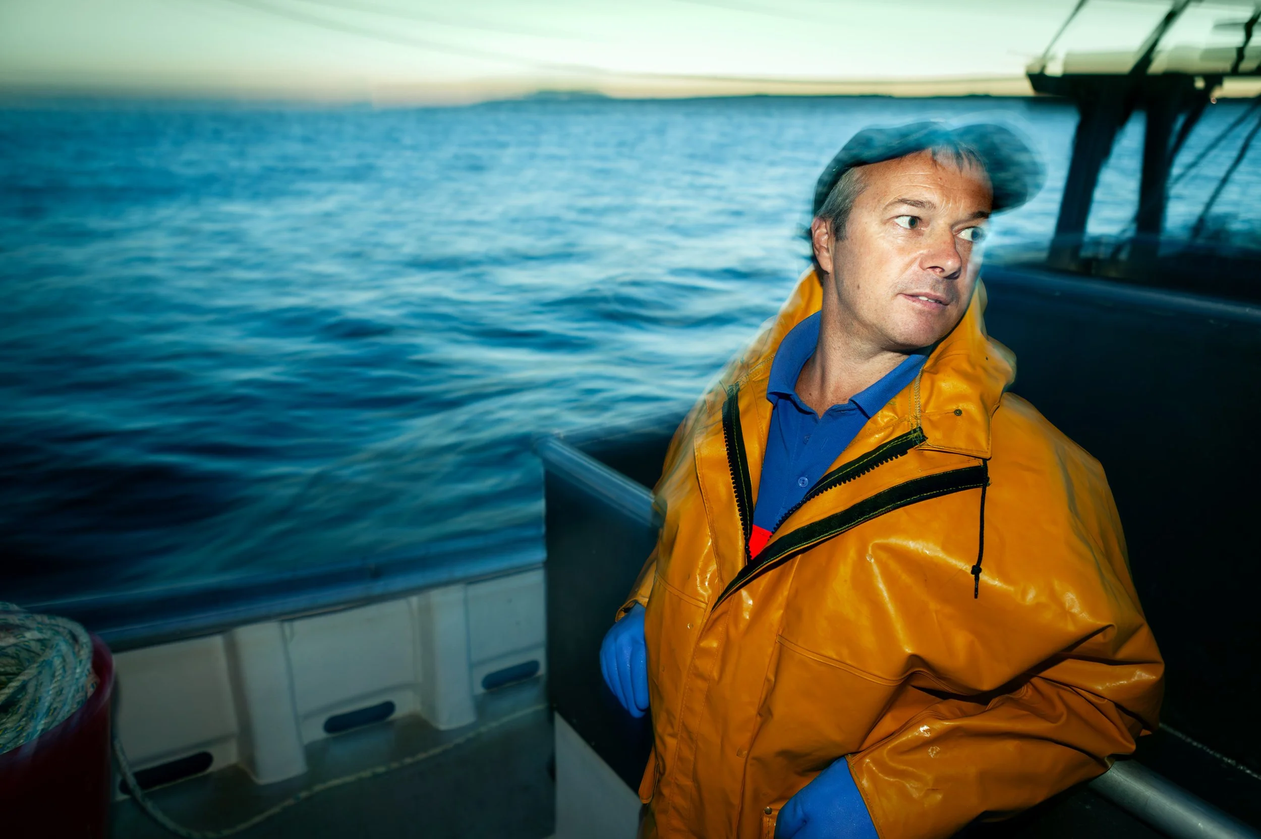 Sardine Fishing