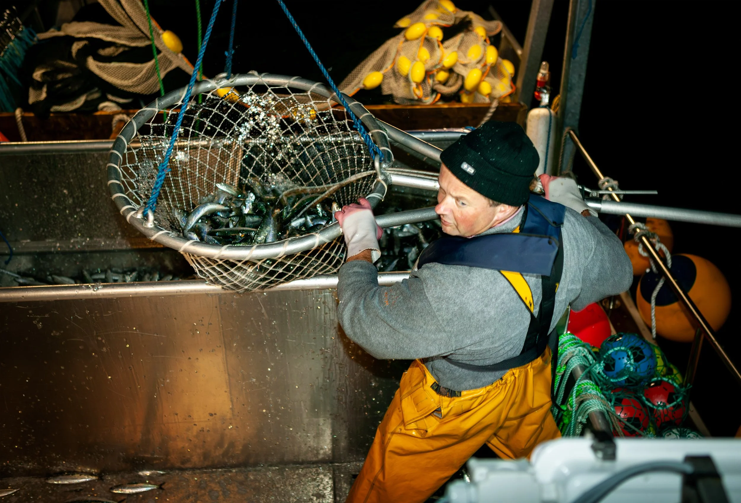 fishing catch