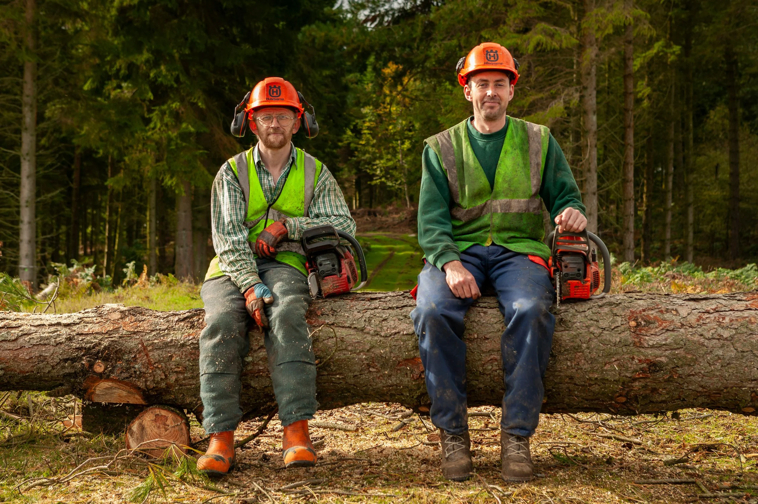 Forestry workers