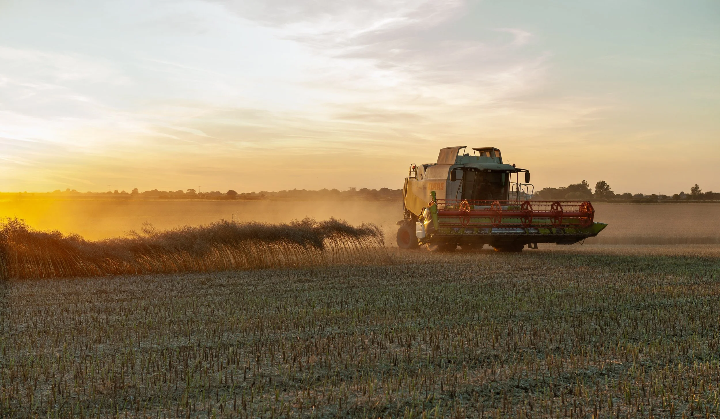 combine dusk (Copy) (Copy)