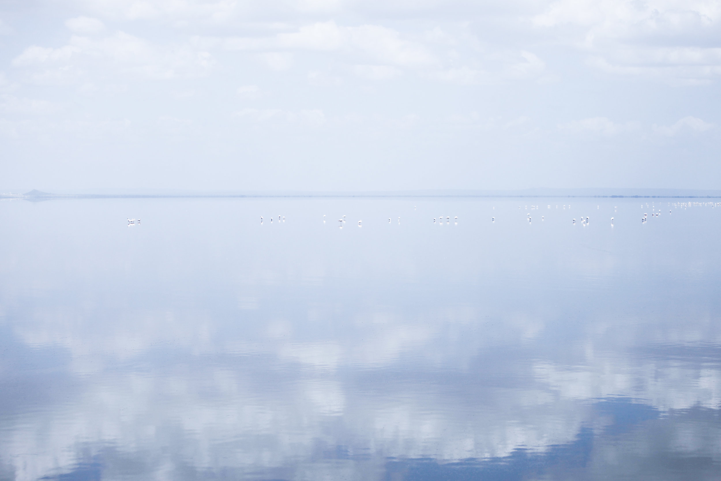 Blurred Horizon | Lake Manyara. Tanzania. 2017.