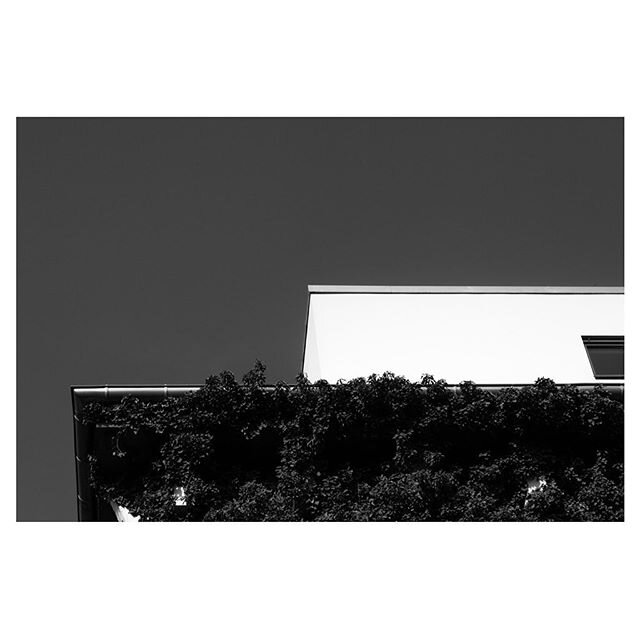 Hochbunker | Am Gemeindegarten 18 | Frankfurt.
.
.
.
.
.
#architecture #lines #geometry #pattern #structure #bw #bnw #blackandwhite #brutalistarchitecture #brutalist #brutalism #concrete #concretejungle #cement #bunker #hochbunker #frankfurt #ffm #bu