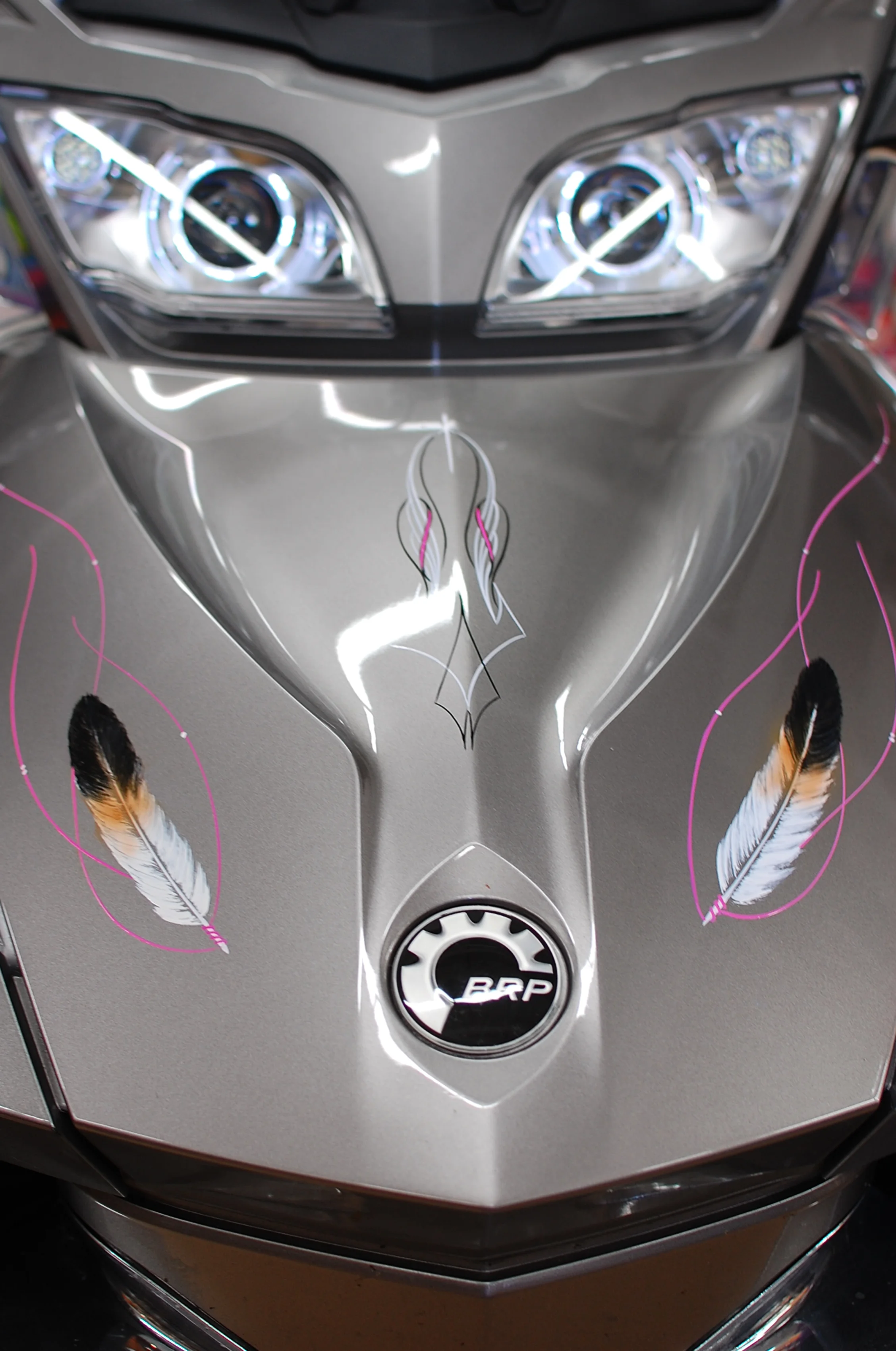 Custom Paint - Sue Hopper-3171.JPG