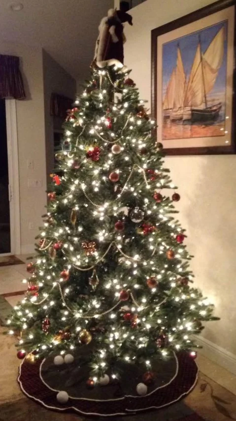 Tree.jpg