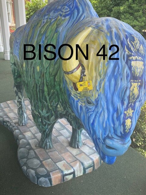 bison42.jpg