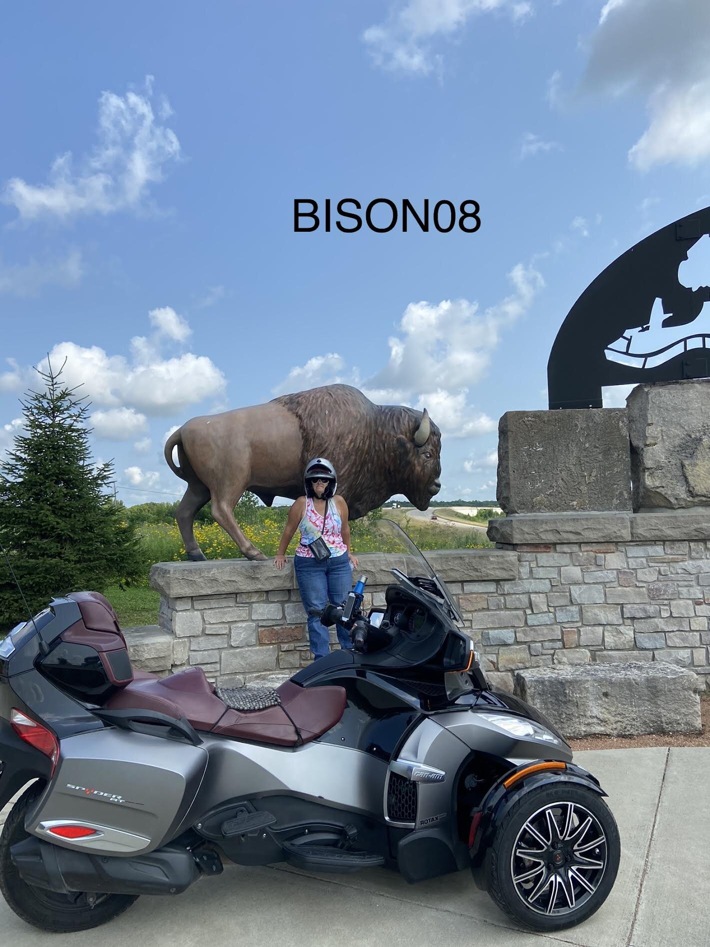 bison08b.jpg